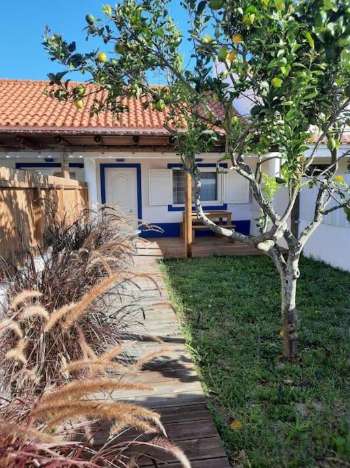Sado House 3 Villa Comporta Exterior photo